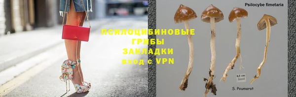 apvp Нязепетровск