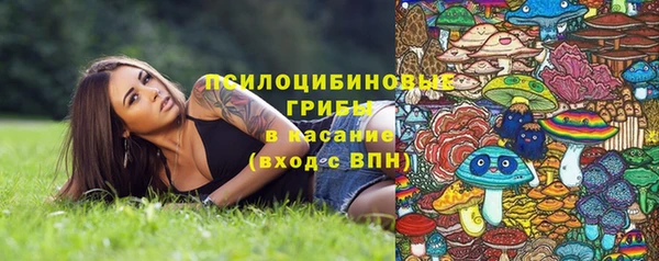 apvp Нязепетровск
