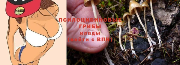 apvp Нязепетровск