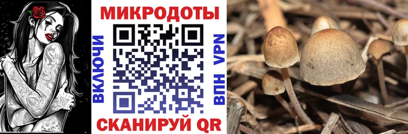 это телеграм  Вологда  Галлюциногенные грибы мицелий 