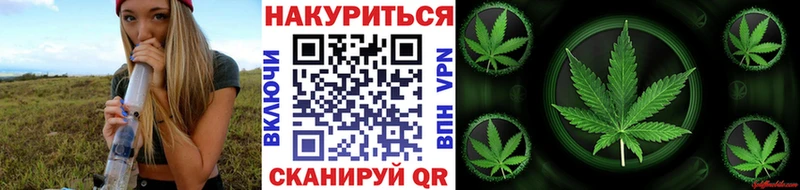 Конопля SATIVA & INDICA  купить закладку  блэк спрут онион  Вологда 